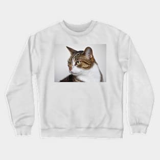 Toby Crewneck Sweatshirt